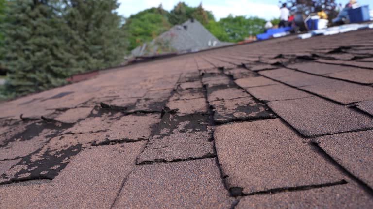 Waterproofing in Stewartville, AL