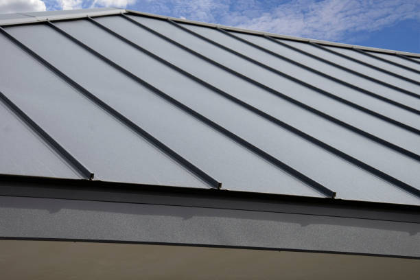 Best Skylight Installation and Repair  in Stewartville, AL